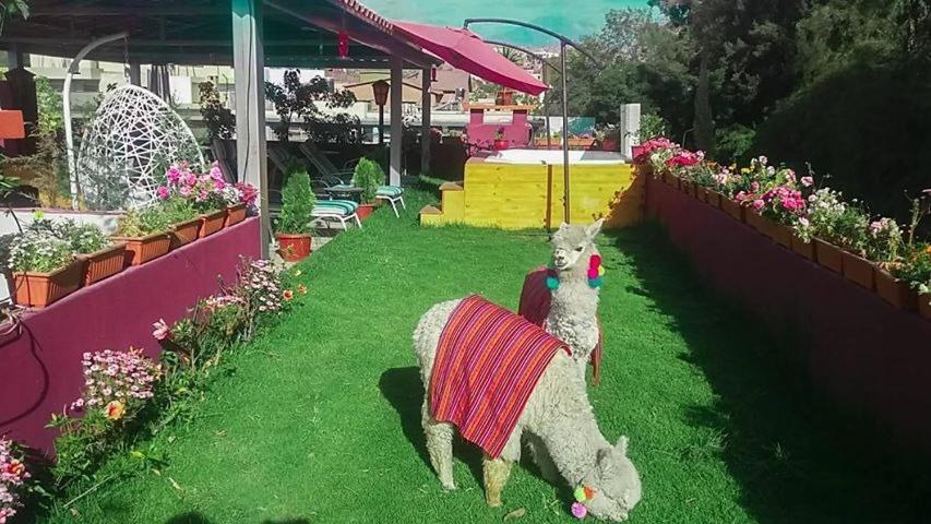 Gatsby Hotel Collection Arequipa Luaran gambar
